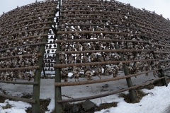 P2250513-Verbeterd-NR-kopie